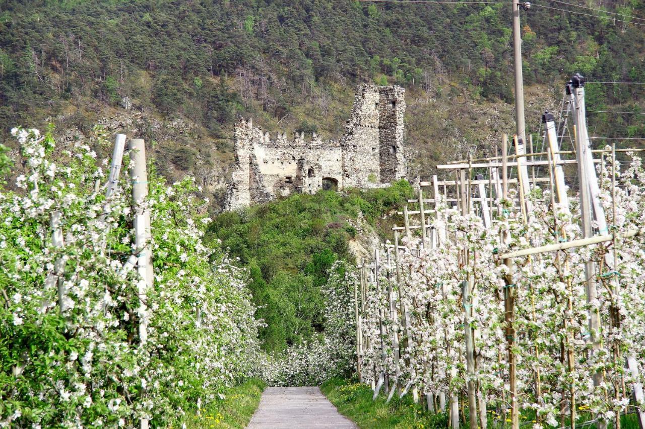 Hotel Montani Morter Esterno foto
